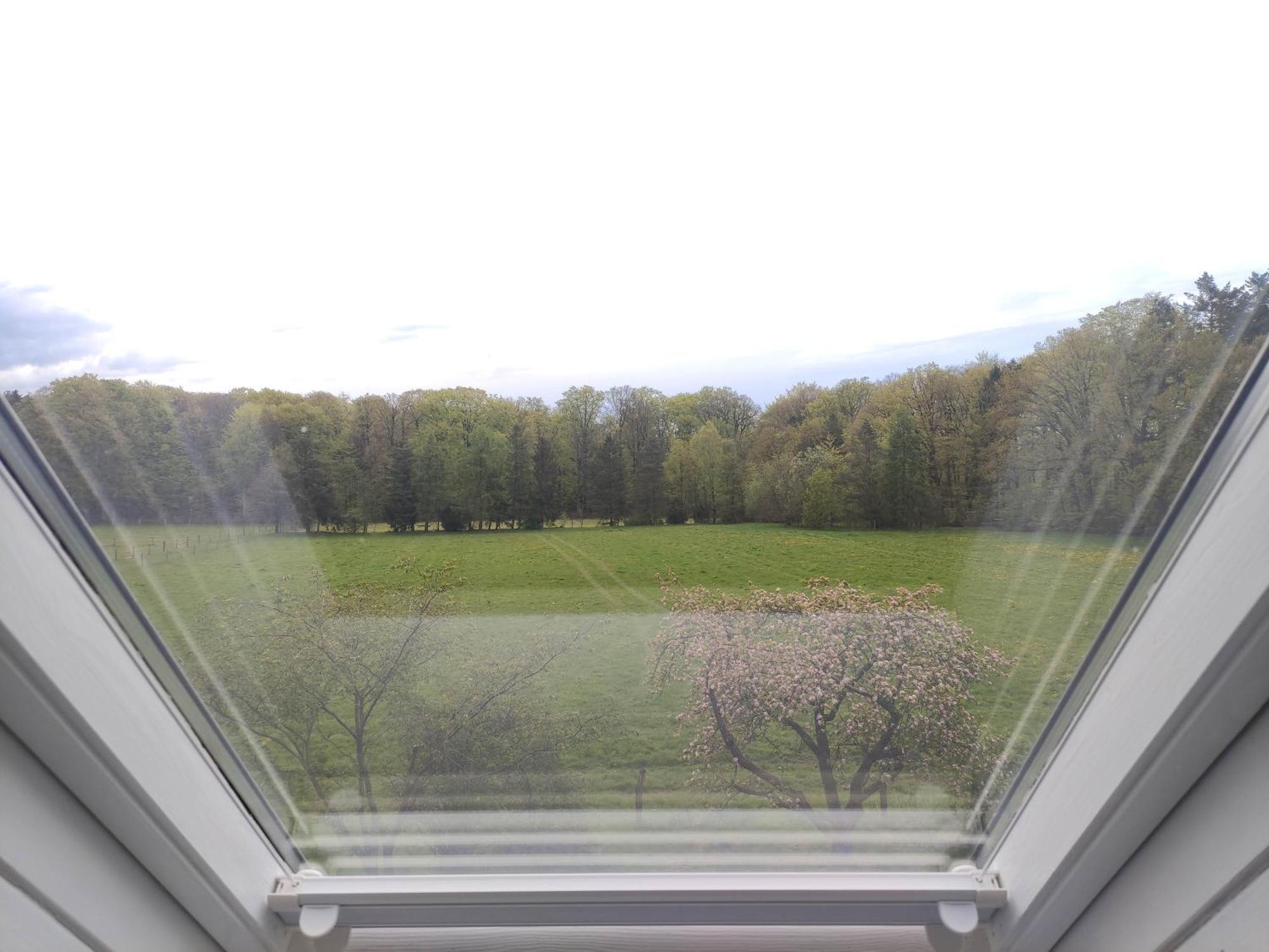 Fewo - Dat Tweete Tohuus - Im Herzen Der Lueneburger Heide Soltau Exterior photo